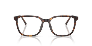 Dolce & Gabbana DG3445 502 53