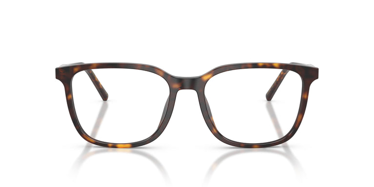 Dolce & Gabbana DG3445 502 53