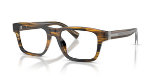 Dolce & Gabbana DG3446 3063 51