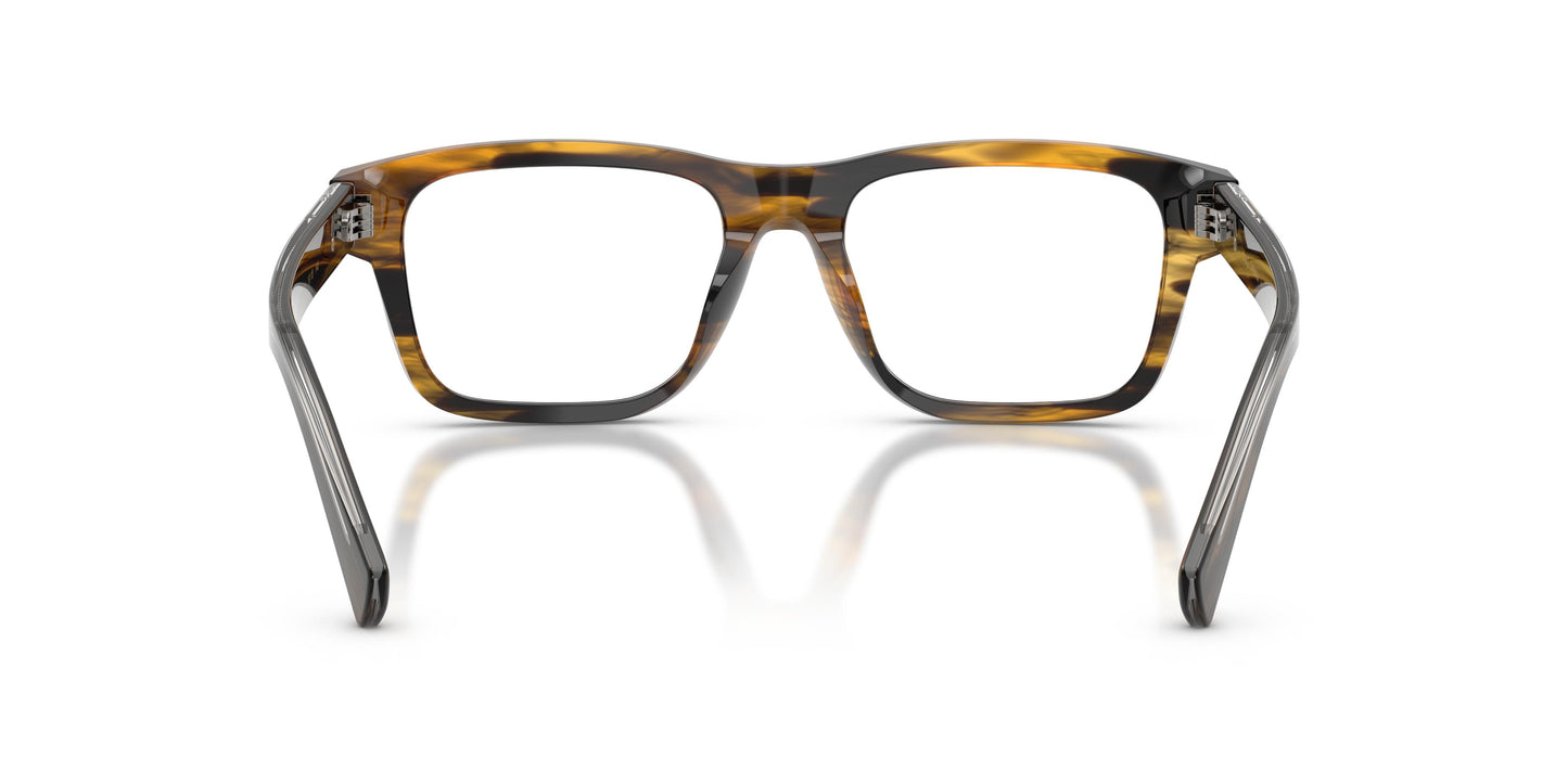 Dolce & Gabbana DG3446 3063 51