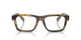 Dolce & Gabbana DG3446 3063 51
