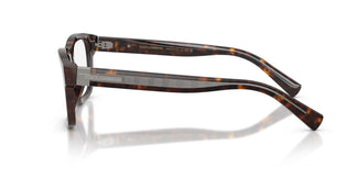 Dolce & Gabbana DG3446 502 53