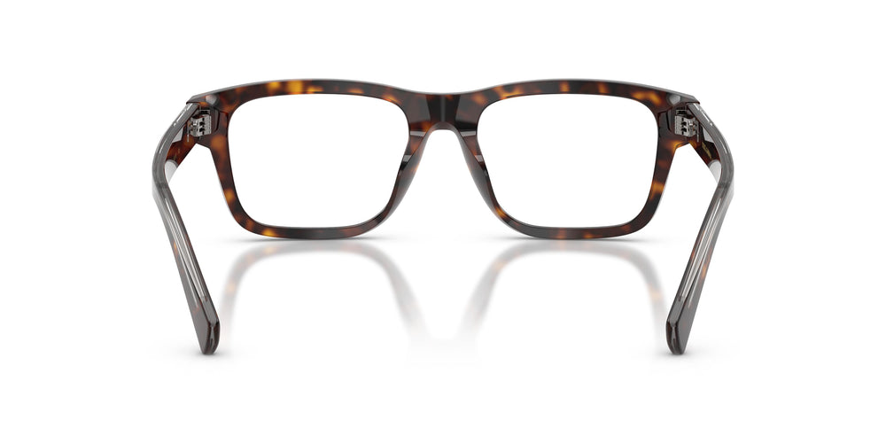 Dolce & Gabbana DG3446 502 53