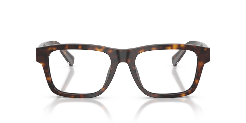 Dolce & Gabbana DG3446 502 51