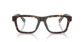 Dolce & Gabbana DG3446 502 53