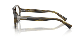 Dolce & Gabbana DG3447 3066 56