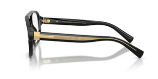 Dolce & Gabbana DG3447 501 56