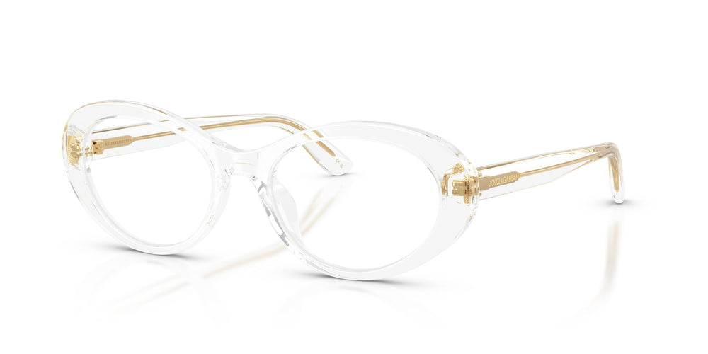 Dolce & Gabbana DG3450 3133 53