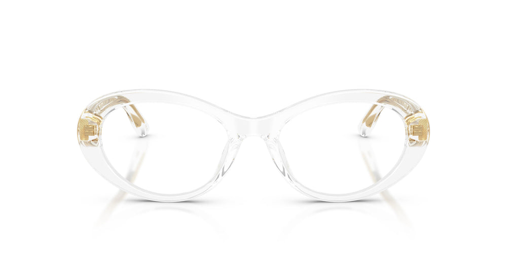 Dolce & Gabbana DG3450 3133 53