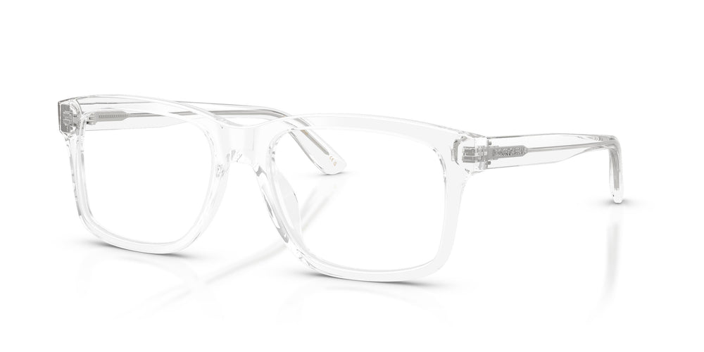 Dolce & Gabbana DG3453 3133 53