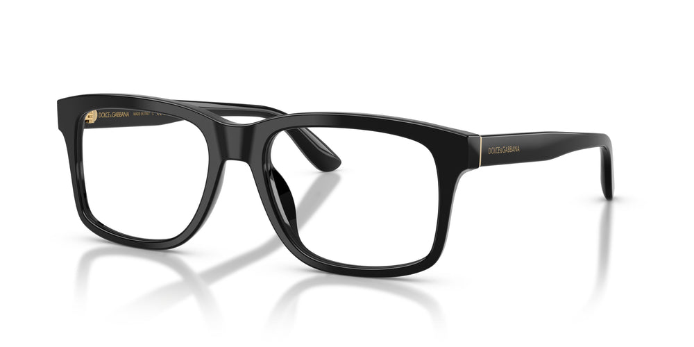 Dolce & Gabbana DG3453 501 53