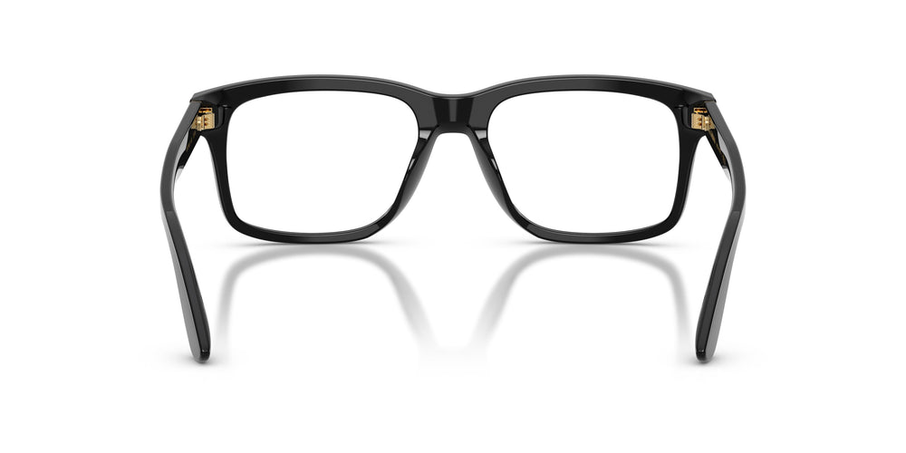 Dolce & Gabbana DG3453 501 53