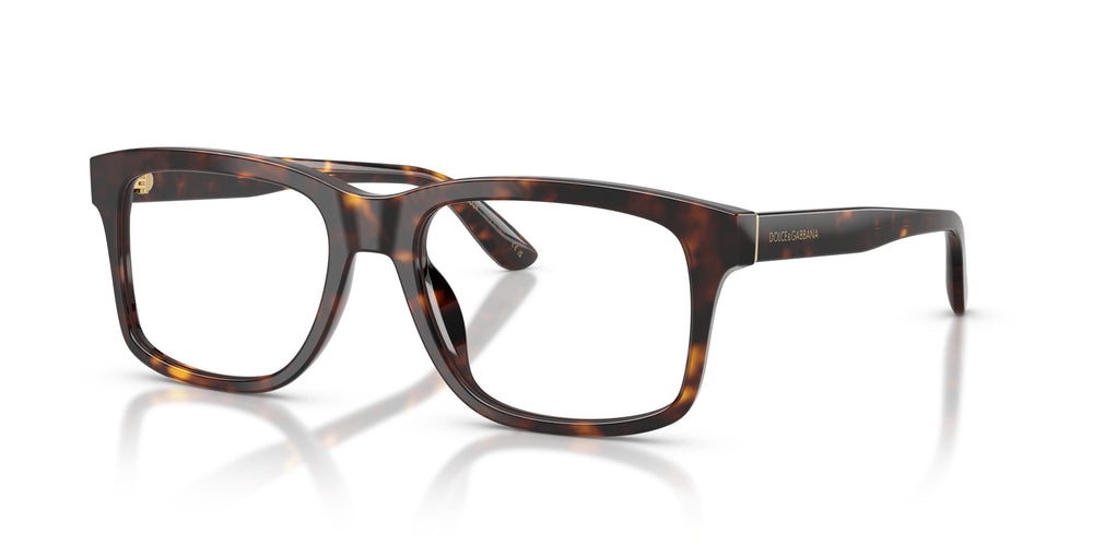 Dolce & Gabbana DG3453 502 53