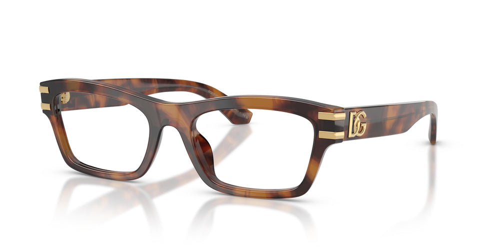 Dolce & Gabbana DG3454 3497 52