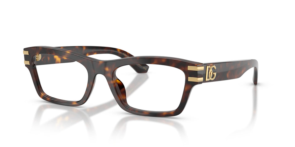Dolce & Gabbana DG3454 502 52