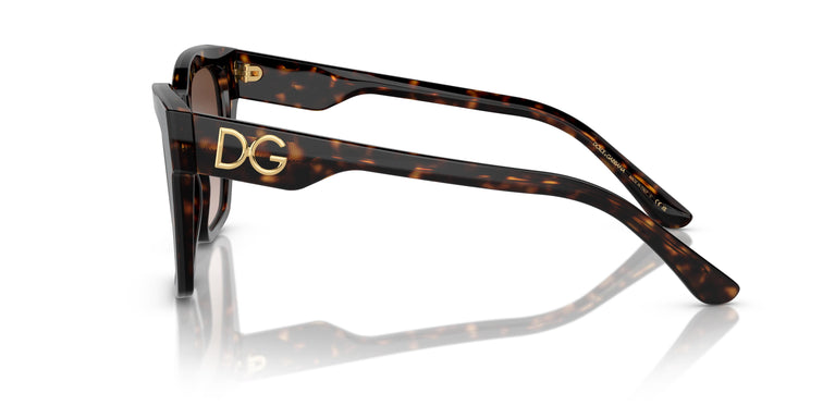 Dolce & Gabbana DG4384 502/13 53