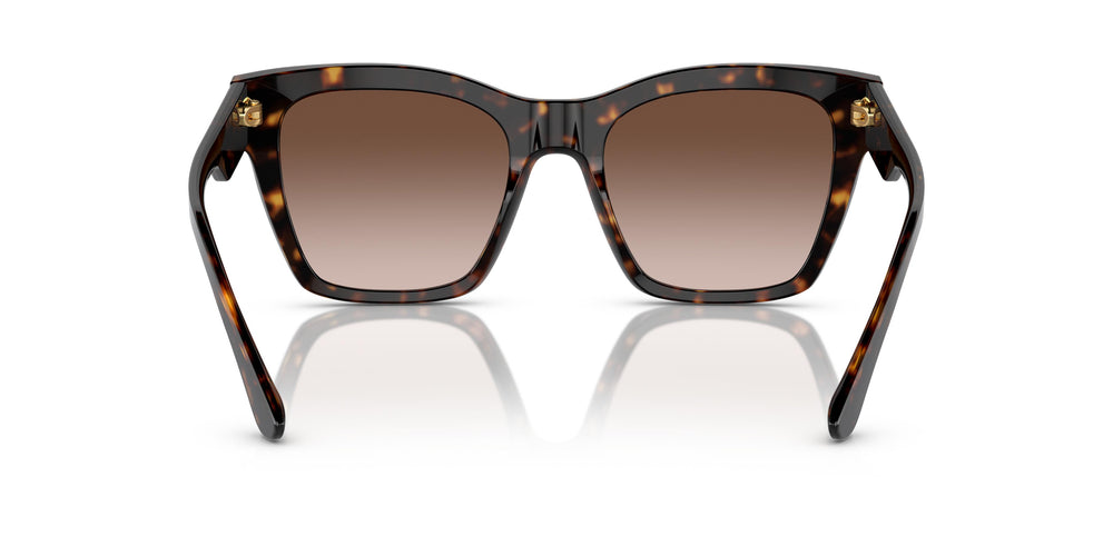Dolce & Gabbana DG4384 502/13 53
