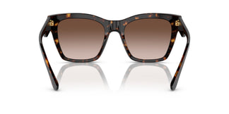 Dolce & Gabbana DG4384 502/13 53