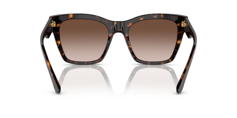 Dolce & Gabbana DG4384 502/13 53