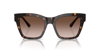 Dolce & Gabbana DG4384 502/13 53
