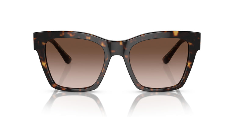 Dolce & Gabbana DG4384 502/13 53