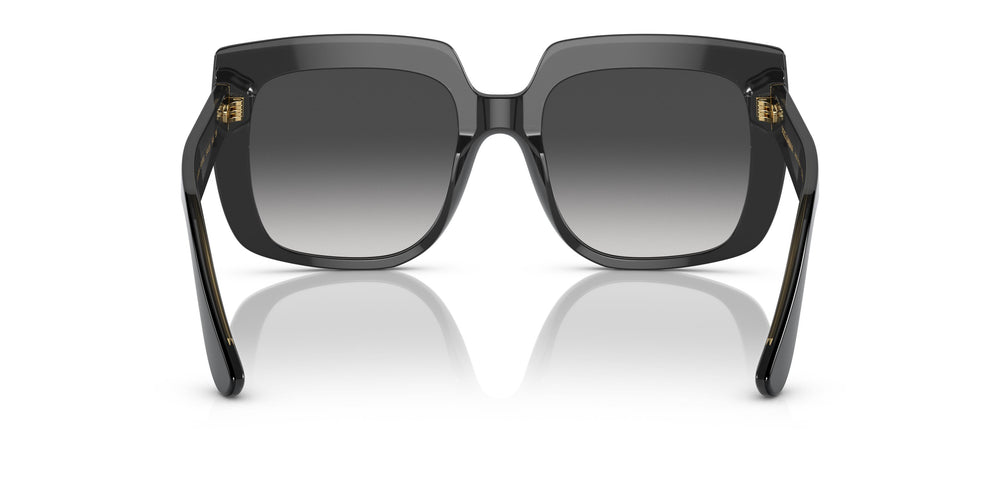 Dolce & Gabbana DG4414 501/8G 54