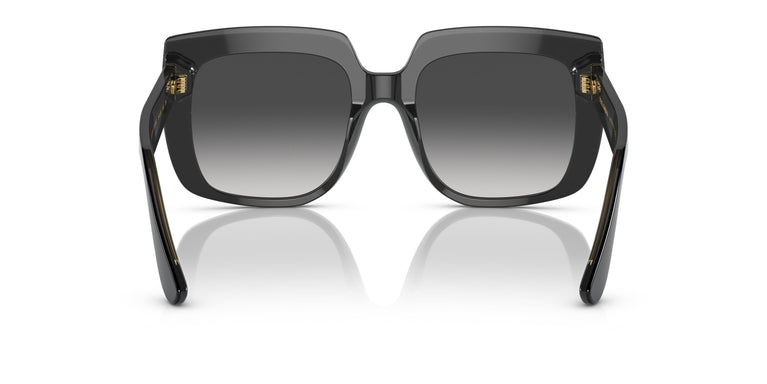 Dolce & Gabbana DG4414 501/8G 54