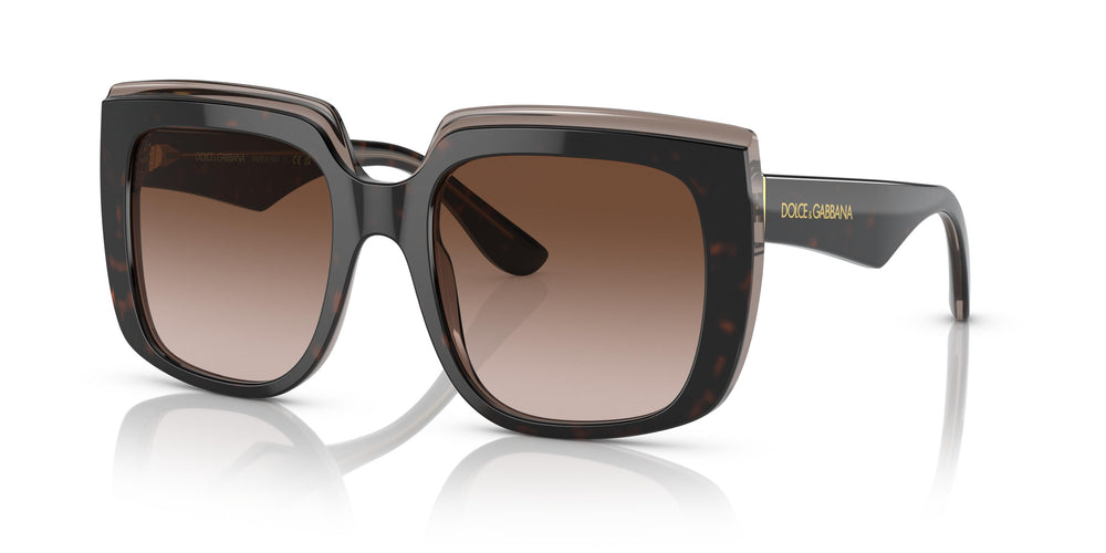 Dolce & Gabbana DG4414 502/13 54