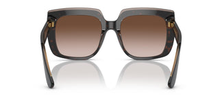 Dolce & Gabbana DG4414 502/13 54