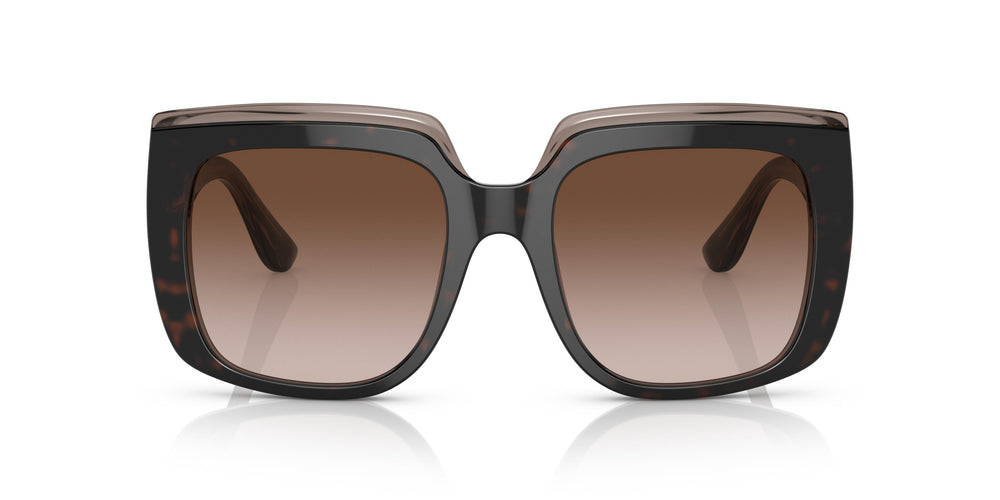 Dolce & Gabbana DG4414 502/13 54