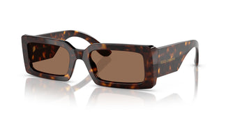 Dolce & Gabbana DG4416 193573 53
