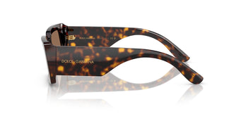 Dolce & Gabbana DG4416 193573 53