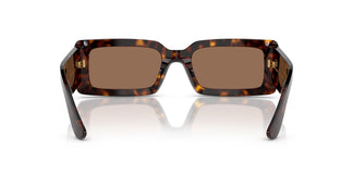 Dolce & Gabbana DG4416 193573 53