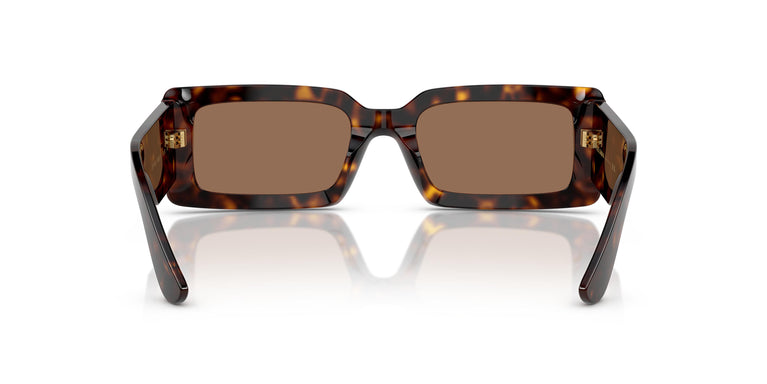 Dolce & Gabbana DG4416 193573 53