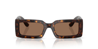 Dolce & Gabbana DG4416 193573 53