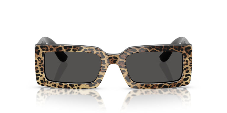 Dolce & Gabbana DG4416 316387 53