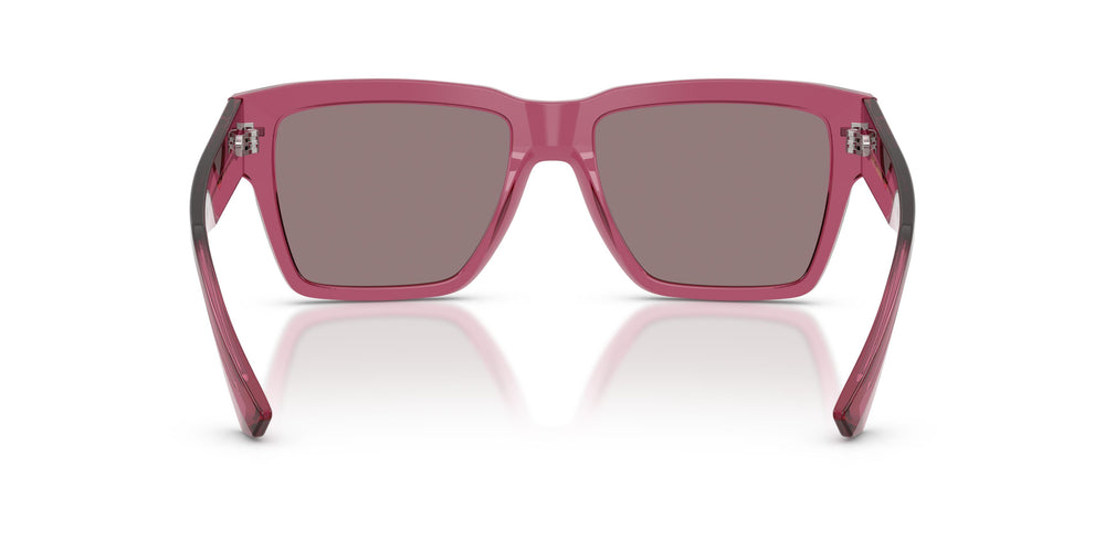 Dolce & Gabbana DG4431 32117N 55