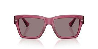 Dolce & Gabbana DG4431 32117N 55