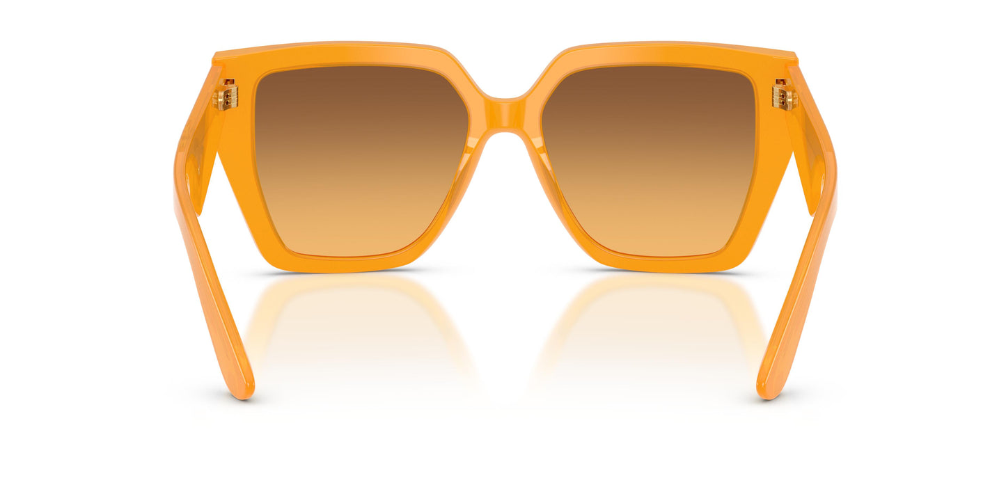 Dolce & Gabbana DG4438 30467H 55