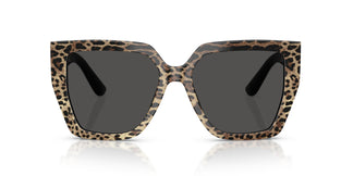 Dolce & Gabbana DG4438 316387 55