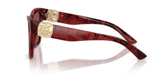 Dolce & Gabbana DG4470 346375 54