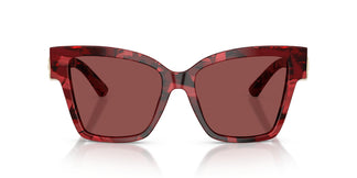 Dolce & Gabbana DG4470 346375 54