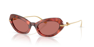 Dolce & Gabbana DG4473 344469 52