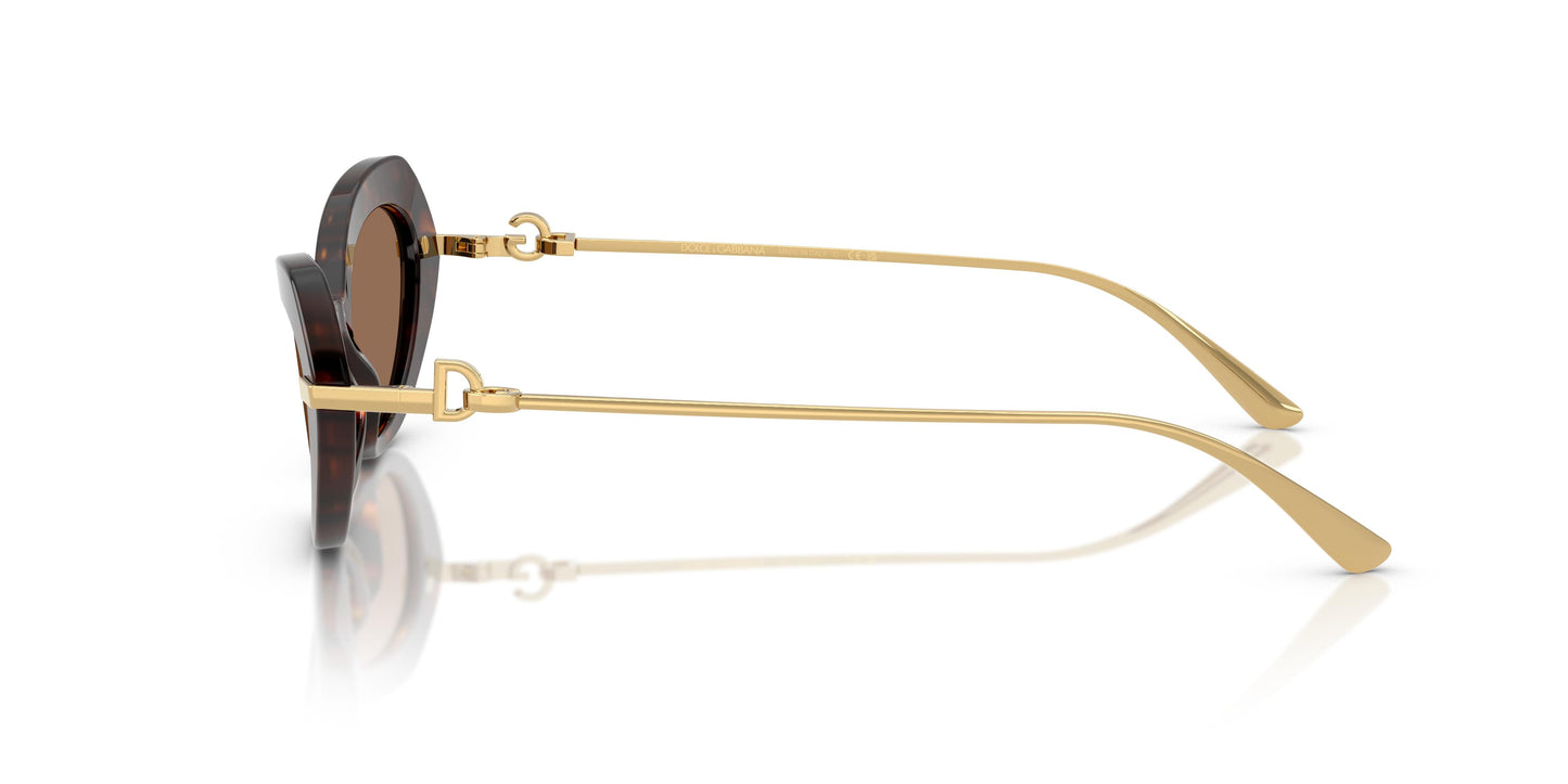 Dolce & Gabbana DG4473 502/73 52