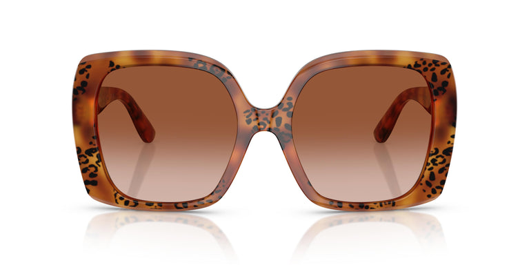 Dolce & Gabbana DG4475 338013 56
