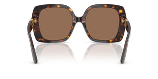 Dolce & Gabbana DG4475 502/73 56