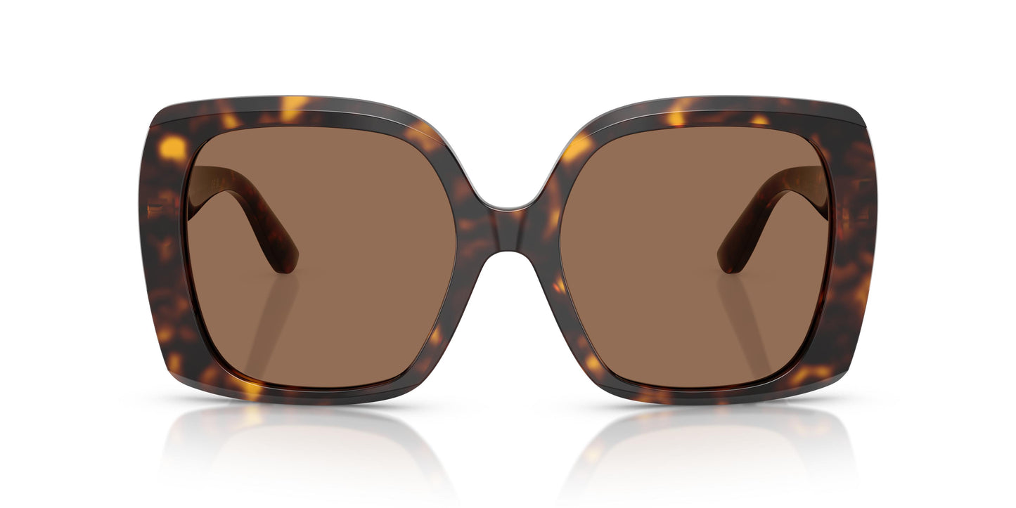 Dolce & Gabbana DG4475 502/73 56