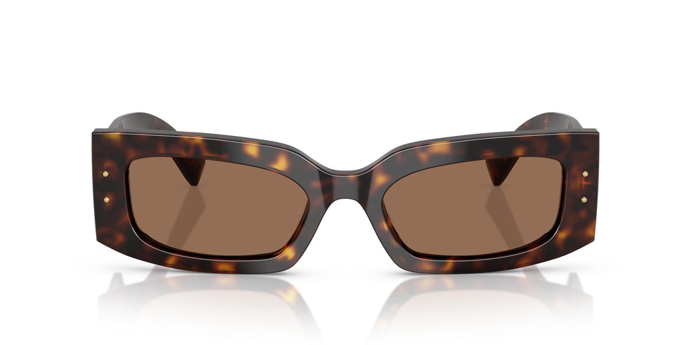 Dolce & Gabbana DG4479 502/73 55