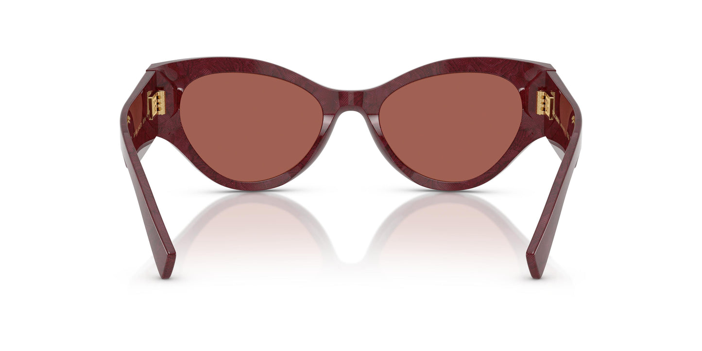 Dolce & Gabbana DG4480 3442D0 53