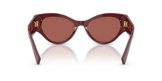 Dolce & Gabbana DG4480 3442D0 53